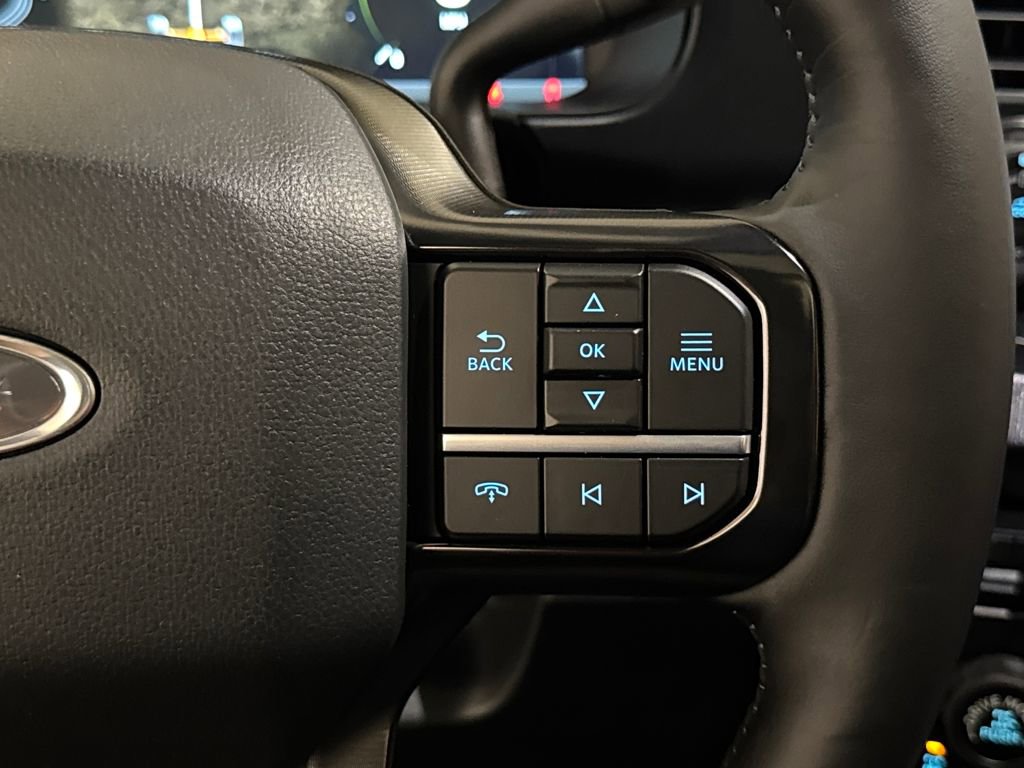New 2025 Ford F250 Platinum w/ Tremor Off-Road Package image 39