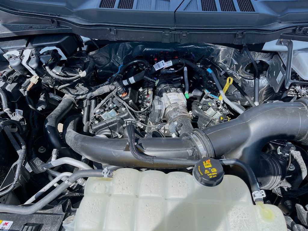 Used 2025 Ford F150 STX w/ Equipment Group 200A RWD image 28