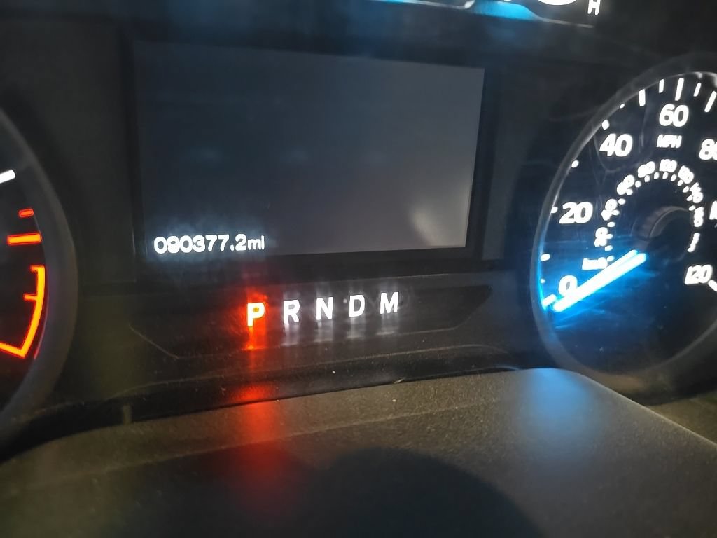 Used 2019 Ford F150 XLT w/ Equipment Group 302A Luxury AWD/4WD image 6