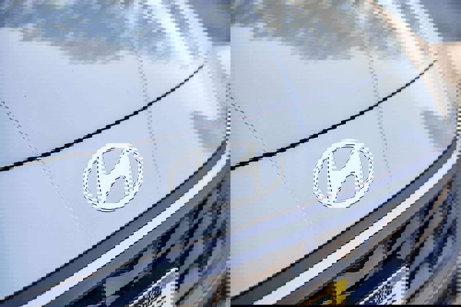 New 2026 Hyundai Elantra Sport image 5