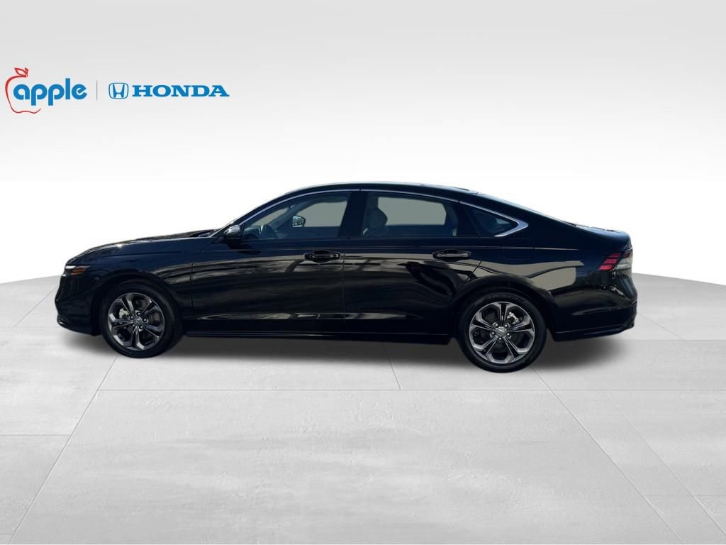 Used 2025 Honda Accord EX-L image 8