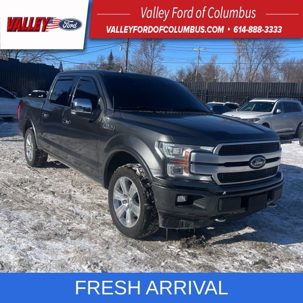 Used 2019 Ford F150 Platinum w/ Equipment Group 701A Luxury image 1