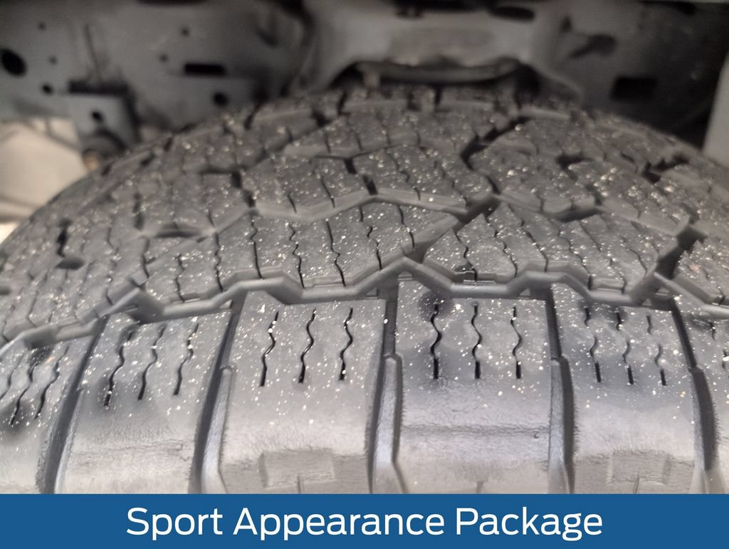 Used 2019 RAM 1500 Big Horn AWD/4WD image 19
