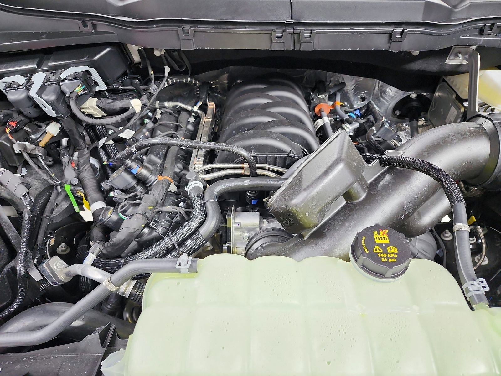 New 2026 Ford F150 XLT w/ Equipment Group 302A MID image 17