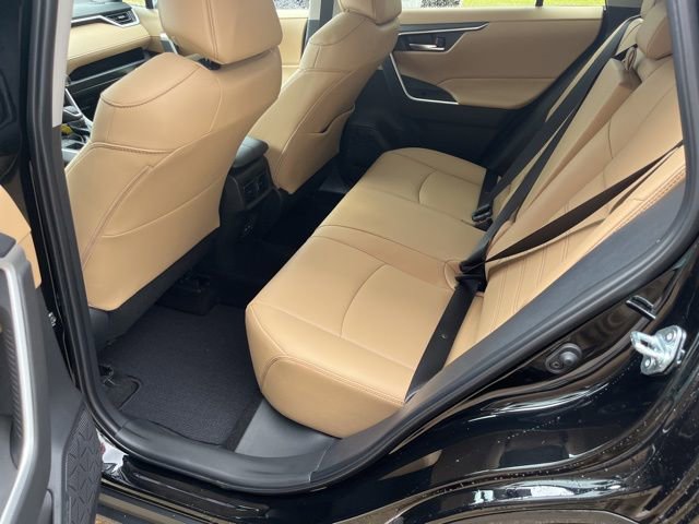 New 2025 Toyota RAV4 XLE Premium image 7