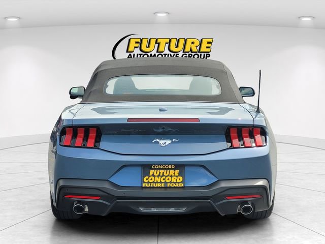 Used 2025 Ford Mustang Convertible RWD image 7