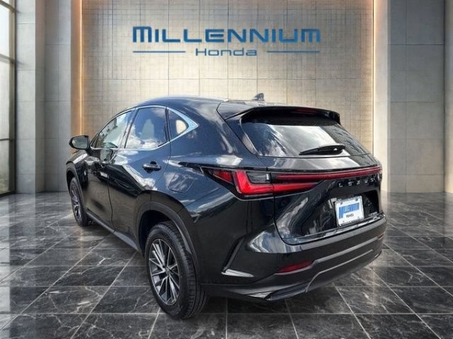 Used 2023 Lexus NX 350 AWD image 3