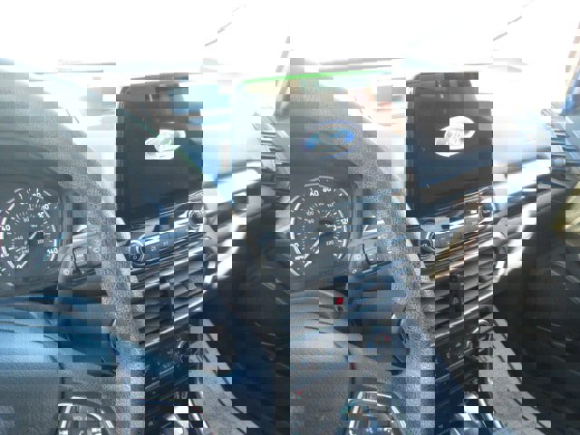 Used 2021 Ford EcoSport SE w/ Interior Protection Package image 13