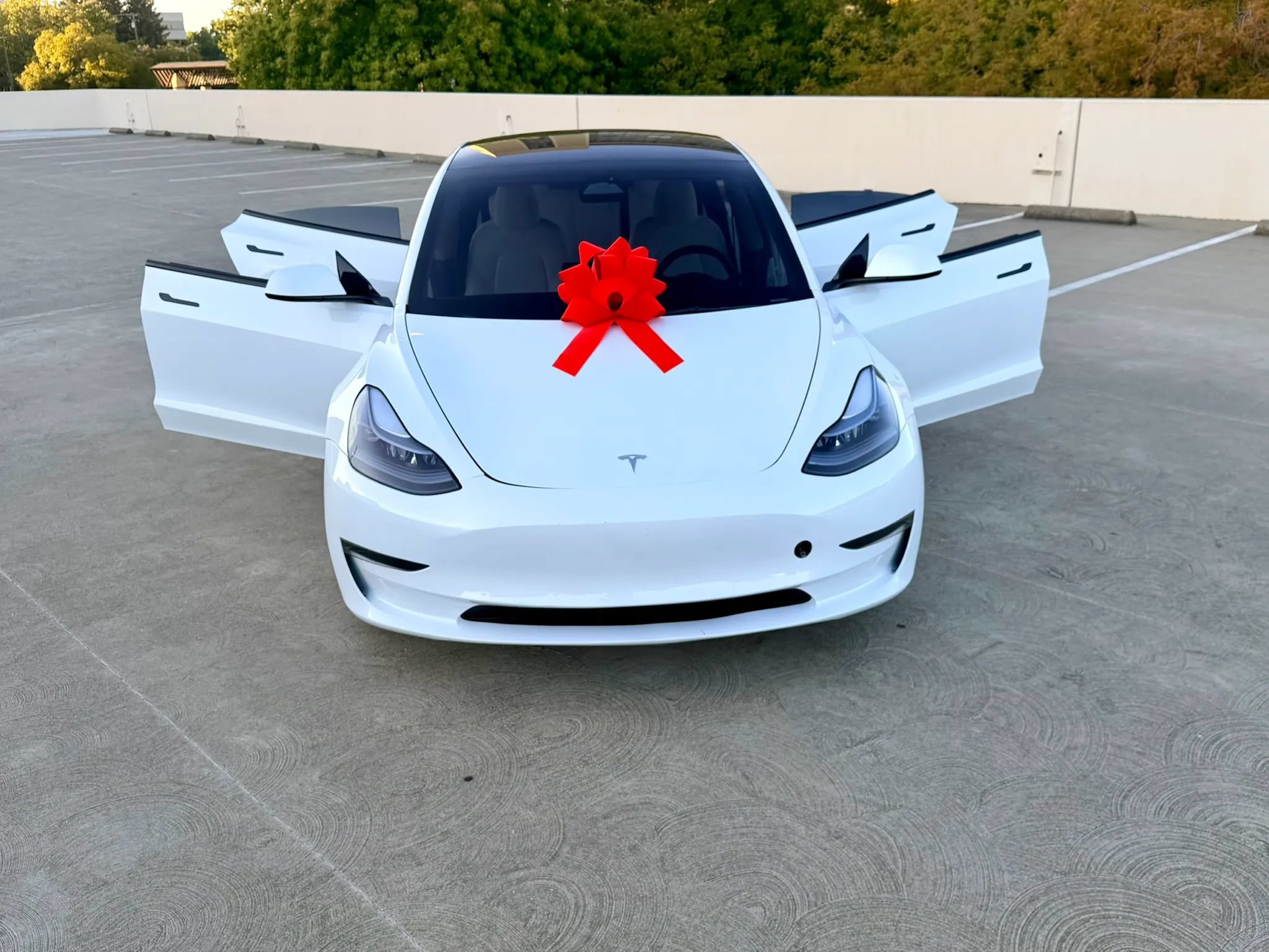 Used 2023 Tesla Model 3 Standard Range RWD image 38