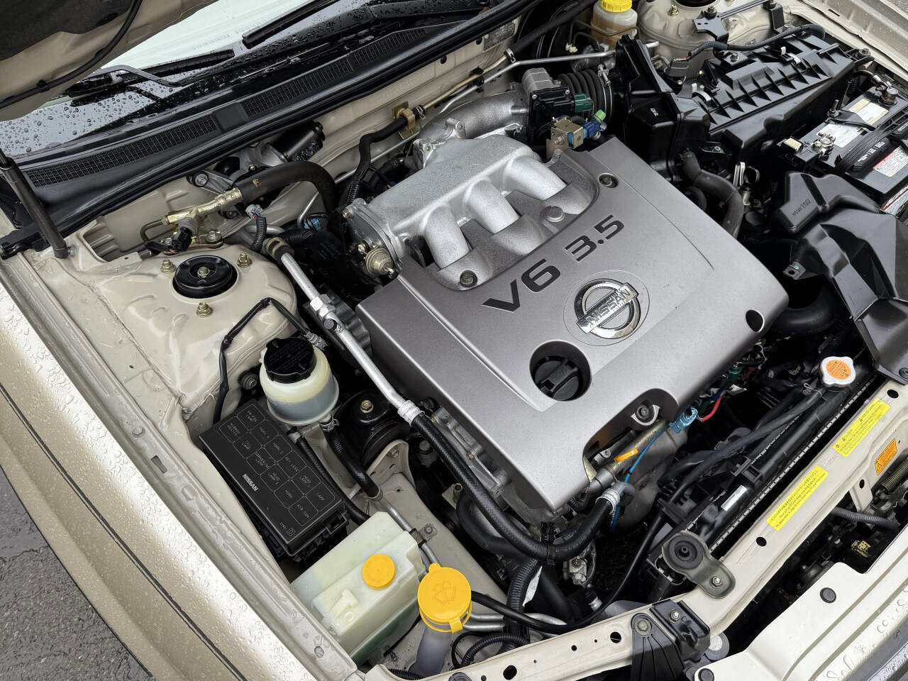 Used 2003 Nissan Maxima SE image 23