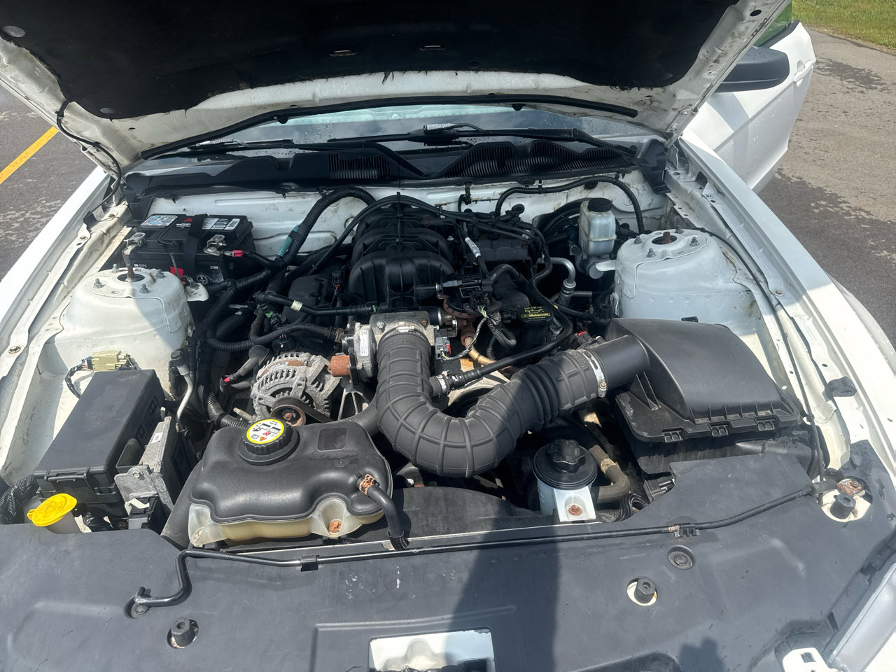 Used 2010 Ford Mustang Coupe image 42