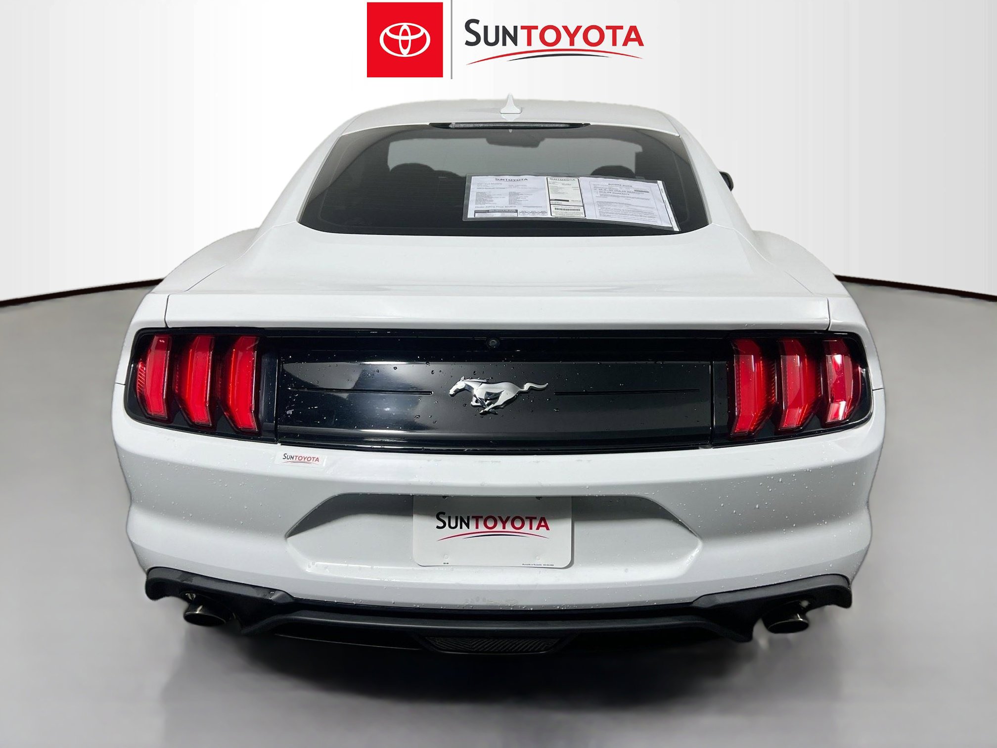 Used 2021 Ford Mustang EcoBoost image 5