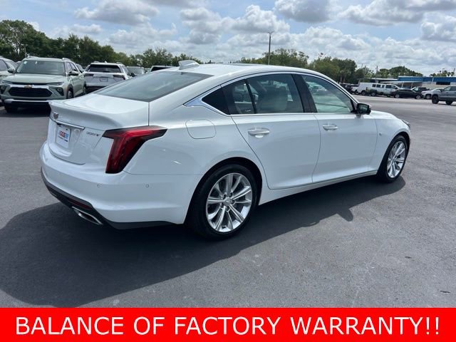 Used 2025 Cadillac CT5 Premium Luxury RWD image 6