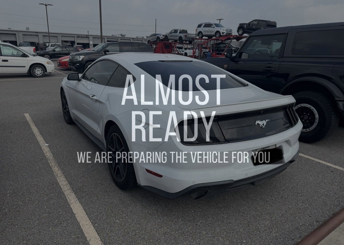 Used 2019 Ford Mustang Coupe w/ Equipment Group 101A RWD image 3