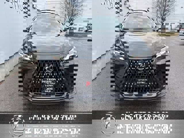 Certified 2025 Lexus NX 350h AWD w/ Cold Area Package image 8