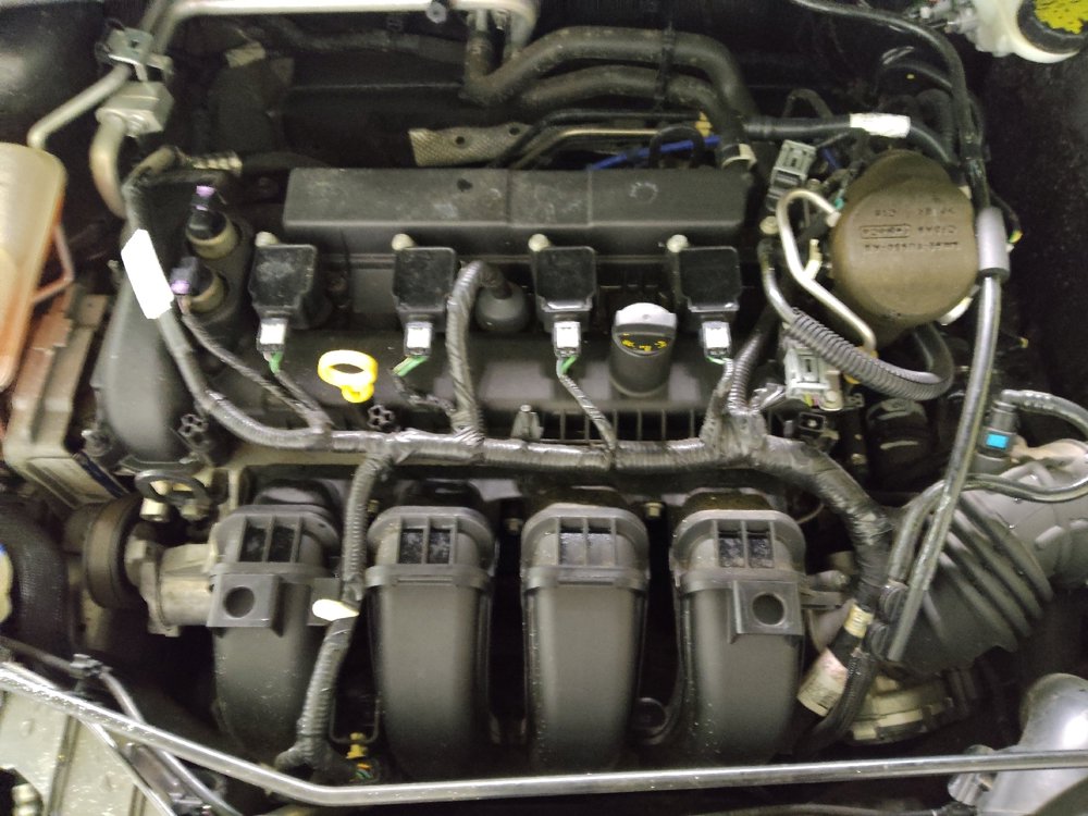 Used 2015 Ford Focus SE w/ SE Sport Package image 30