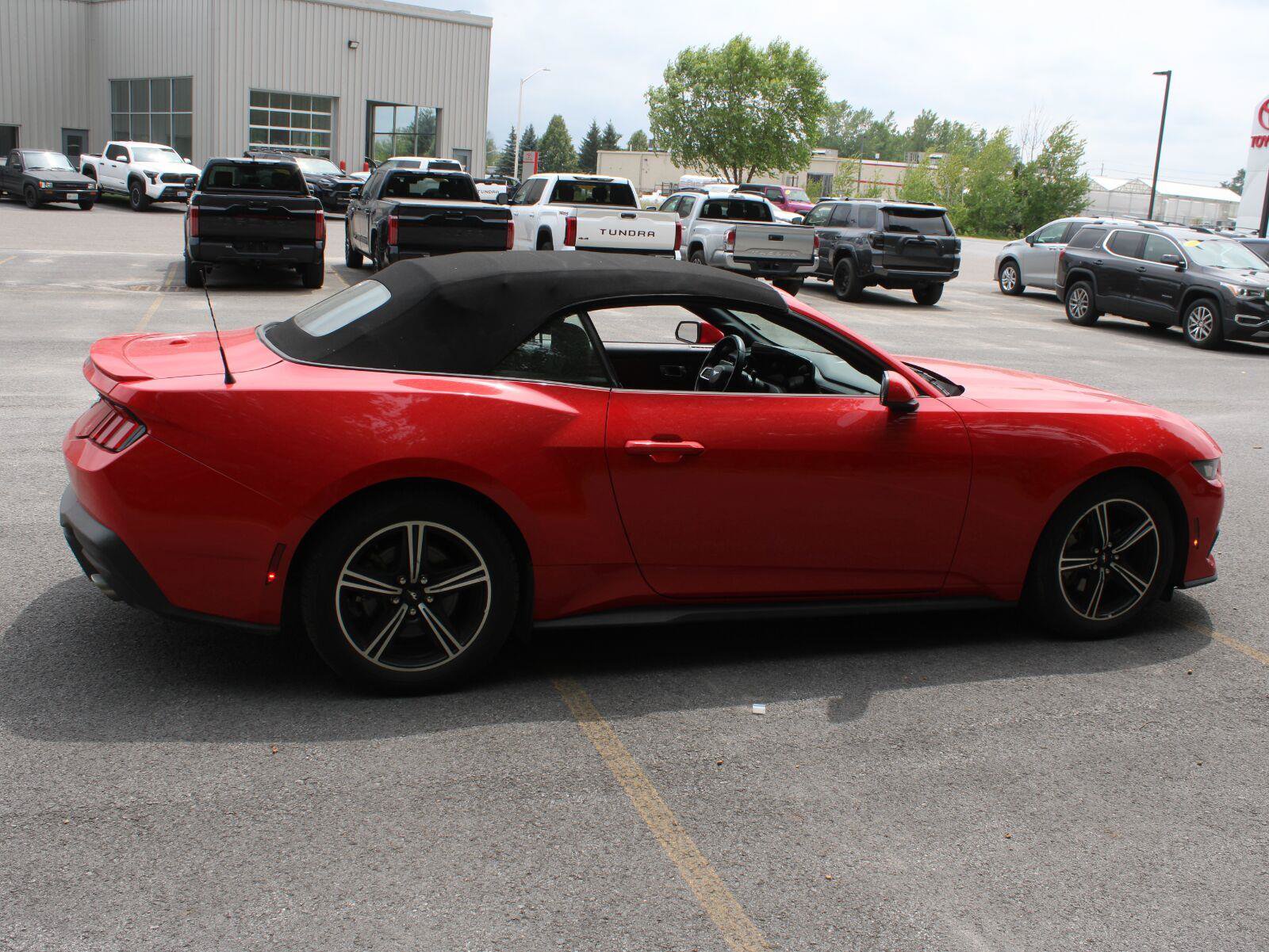 Used 2024 Ford Mustang Premium RWD image 4
