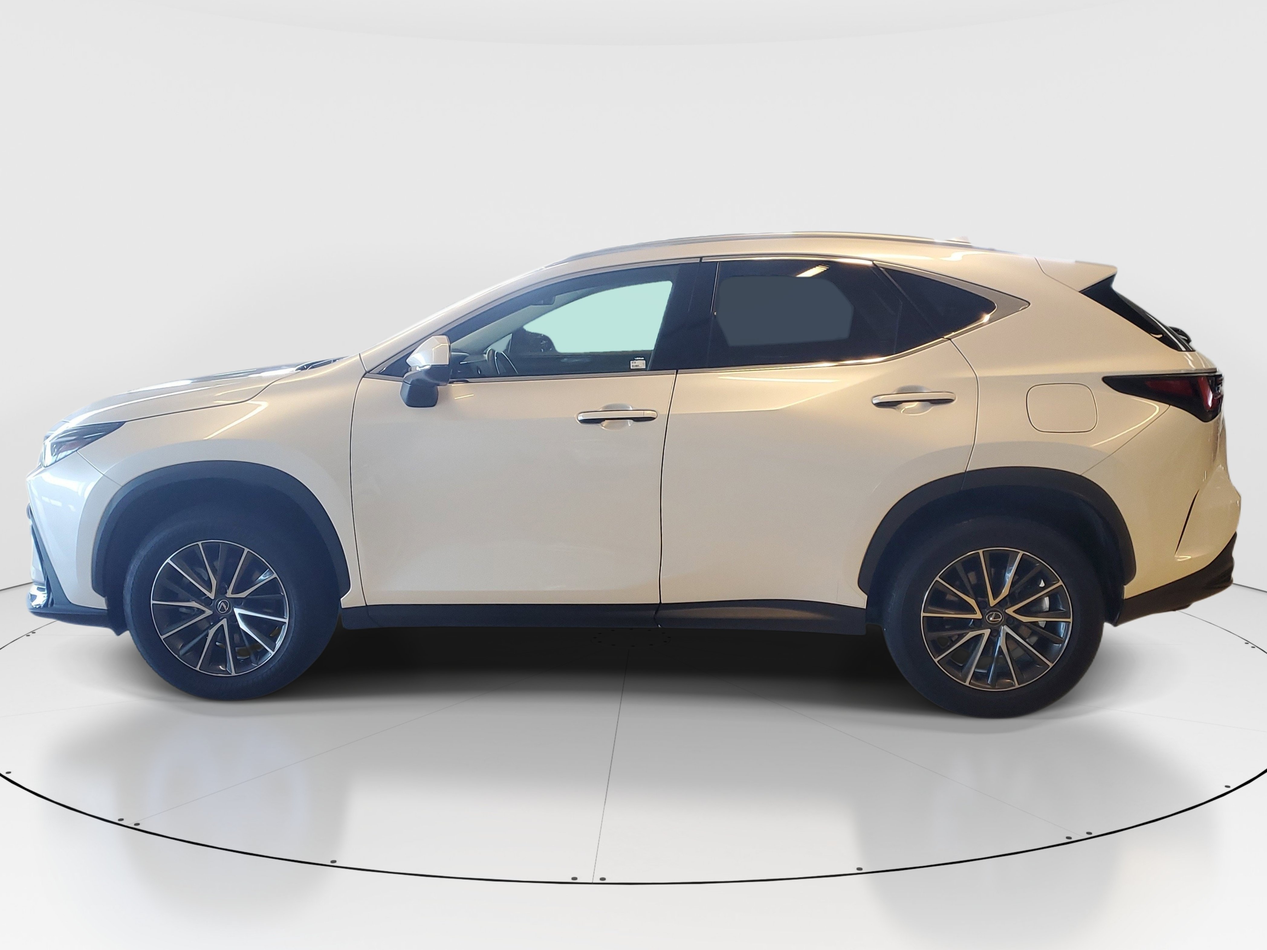 Certified 2024 Lexus NX 250 FWD image 7