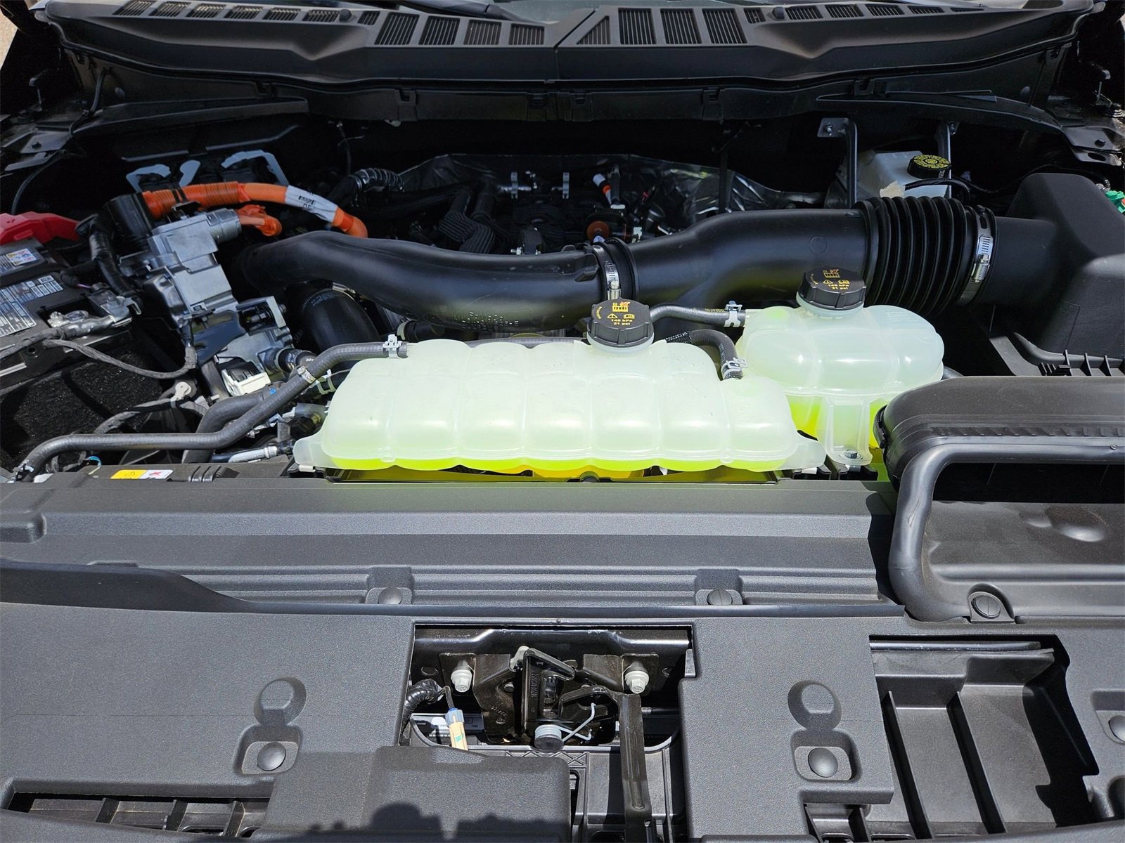 New 2025 Ford F150 XLT w/ Equipment Group 302A MID image 22