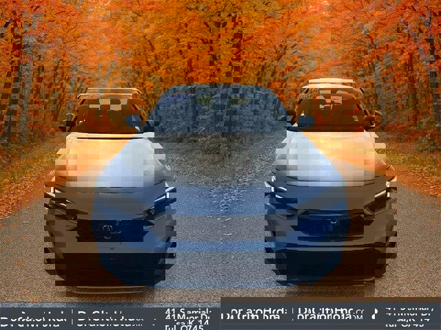 Used 2025 Honda Civic Sport image 2