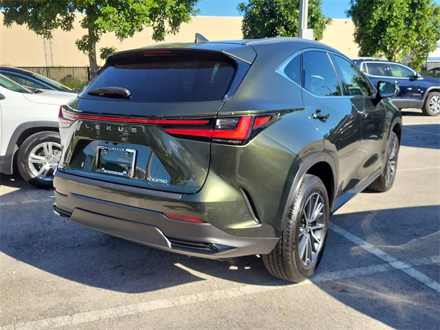 Used 2024 Lexus NX 250 250 Premium image 6