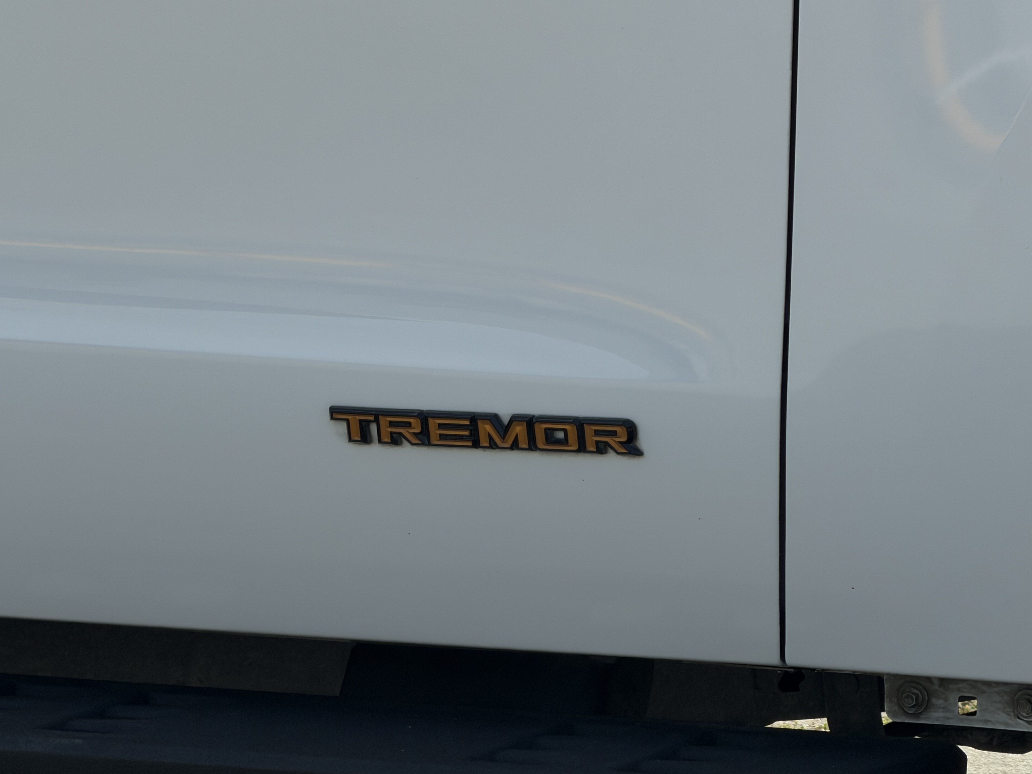 Certified 2025 Ford Expedition Tremor AWD/4WD image 4