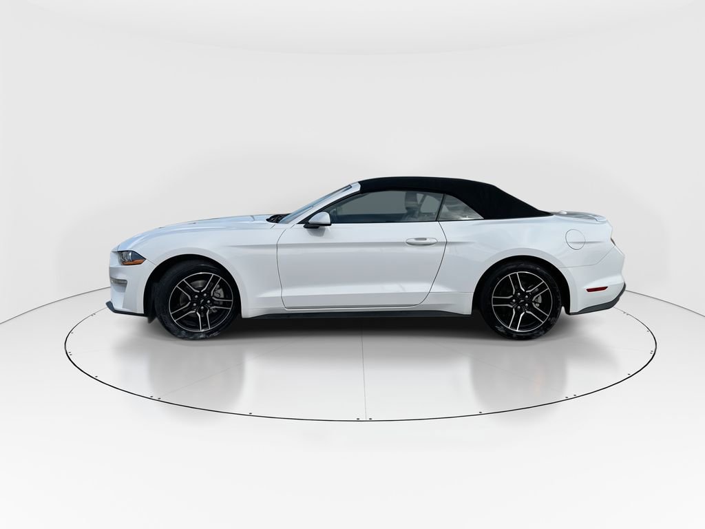 Used 2022 Ford Mustang Premium image 5