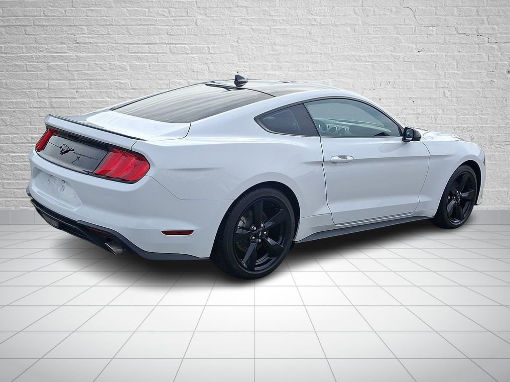 Used 2023 Ford Mustang EcoBoost w/ Mustang Nite Pony Package image 4