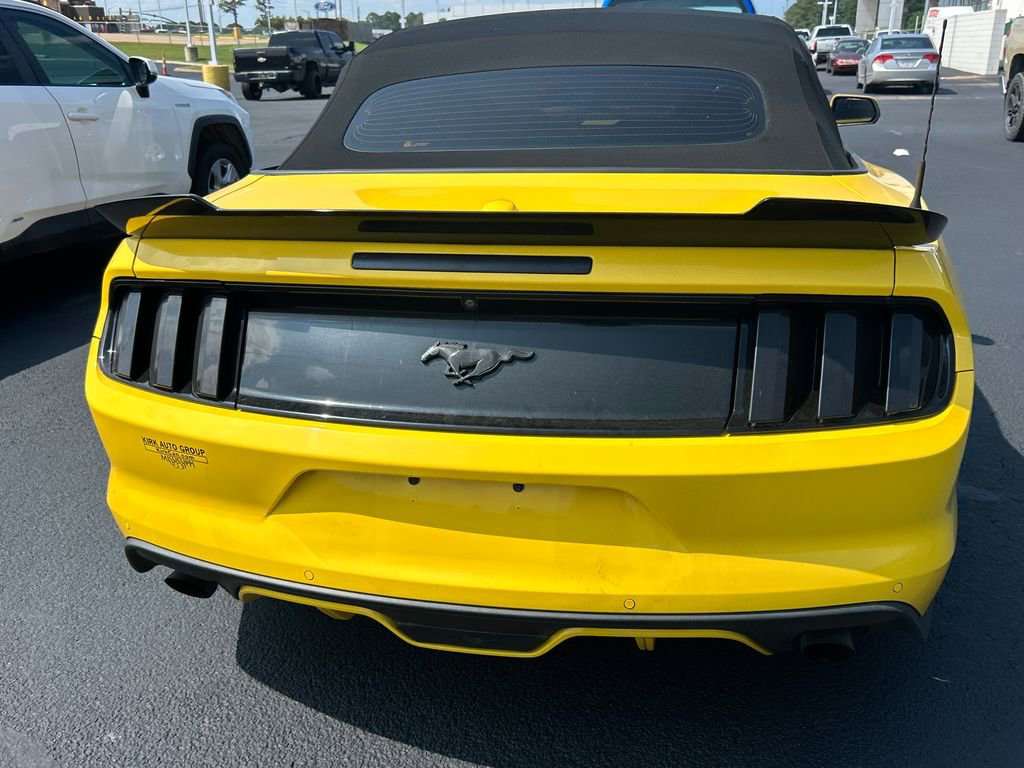 Used 2017 Ford Mustang Premium w/ Equipment Group 201A RWD image 5