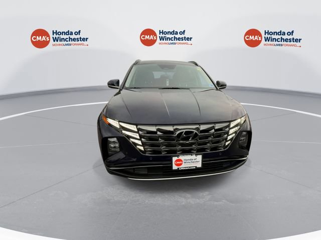 Used 2023 Hyundai Tucson Limited image 3