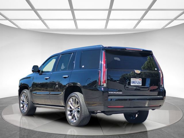 Used 2019 Cadillac Escalade Platinum w/ Escalade Sport Edition AWD/4WD image 6