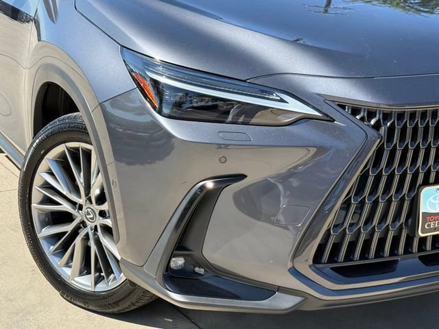 Used 2022 Lexus NX 350h AWD w/ Vision Package image 4