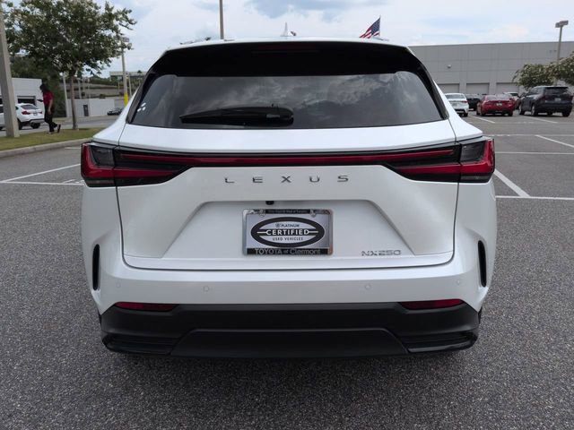 Used 2025 Lexus NX 250 FWD w/ Accessory Package (Z1) image 5