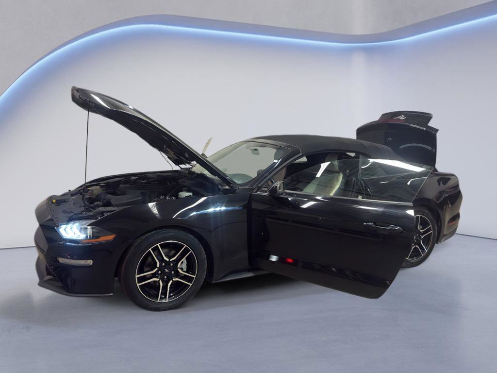 Used 2019 Ford Mustang Premium image 9