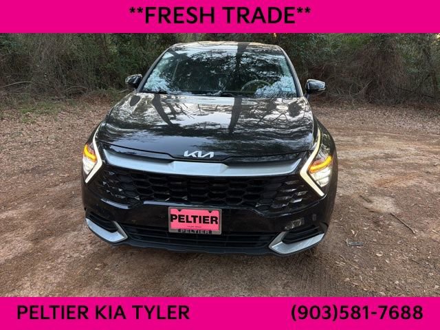 Certified 2024 Kia Sportage EX image 2