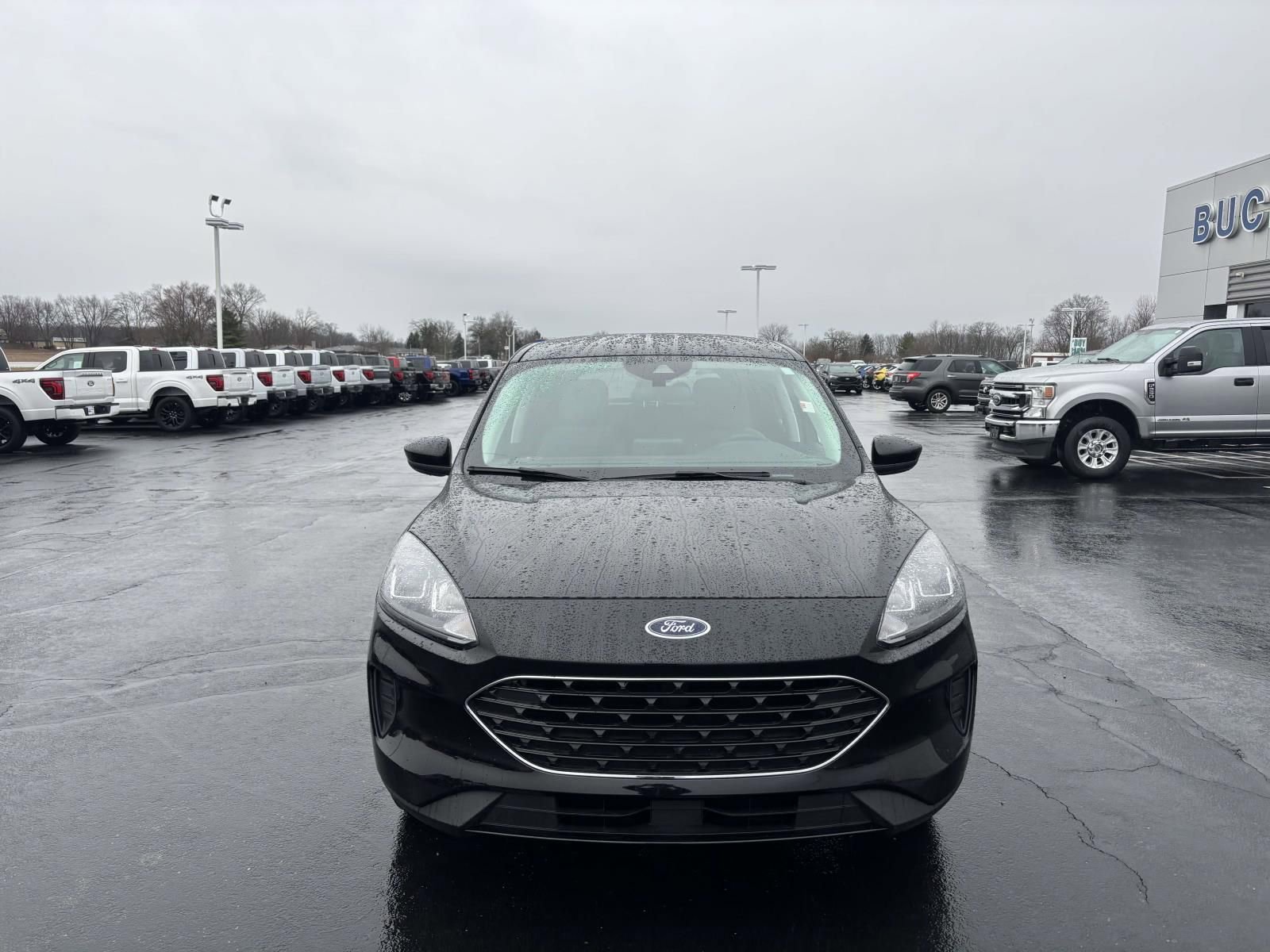 Used 2022 Ford Escape SE w/ SE Sport Appearance Package image 2