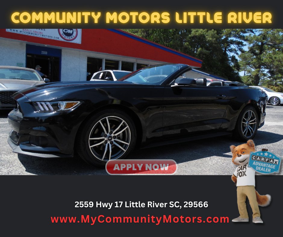 Used 2016 Ford Mustang Premium image 1
