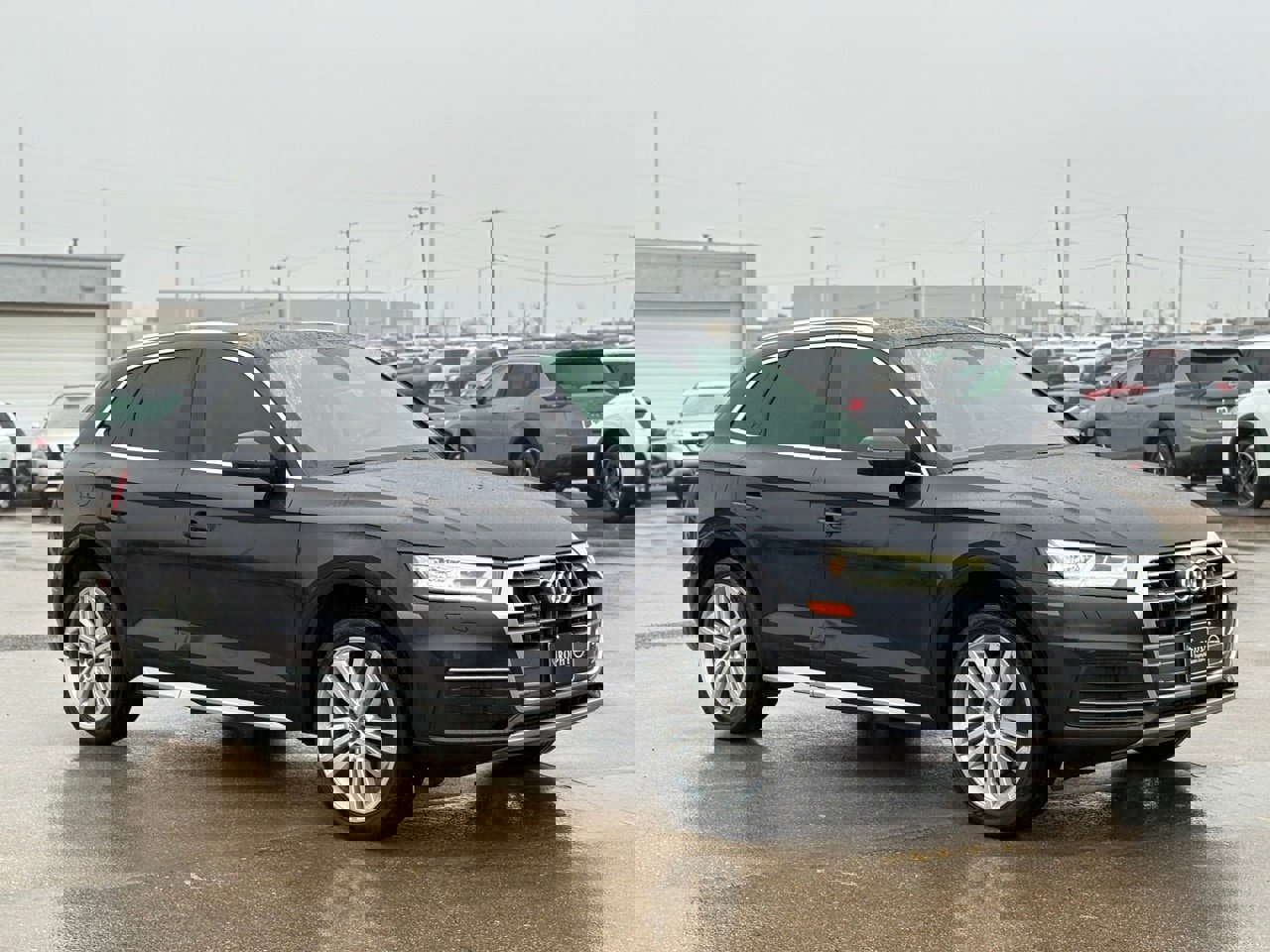 Used 2019 Audi Q5 2.0T Premium Plus w/ Premium Plus Package image 4