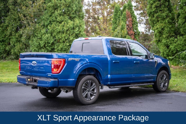 Used 2023 Ford F150 XLT w/ Equipment Group 302A High AWD/4WD image 5