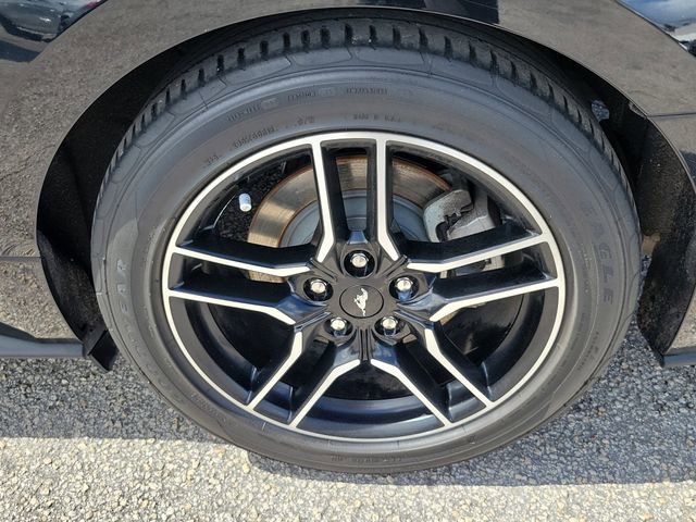 Used 2022 Ford Mustang Premium image 6