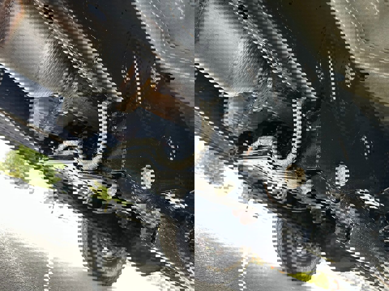 Used 2018 RAM 2500 Tradesman w/ Chrome Appearance Group image 59