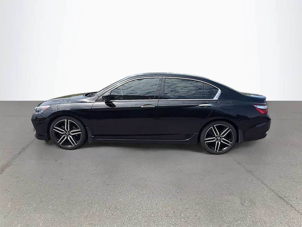 Used 2017 Honda Accord Sport Special Edition image 7