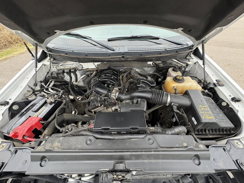 Used 2012 Ford F150 XLT w/ XLT Chrome Pkg image 16