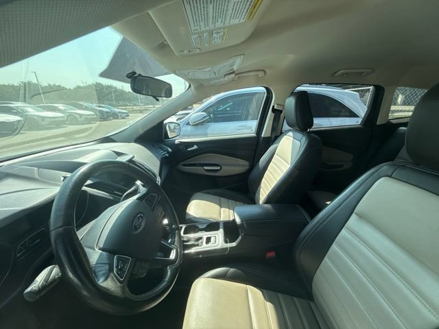 Used 2019 Ford Escape SEL FWD image 6