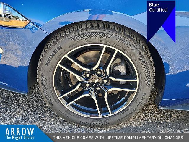 Certified 2023 Ford Mustang Coupe w/ Equipment Group 101A RWD image 17