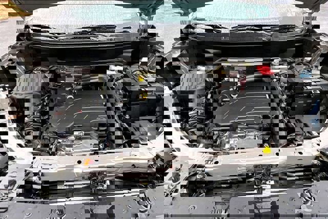 New 2026 GMC Terrain Elevation w/ Elevation Premium Package image 13