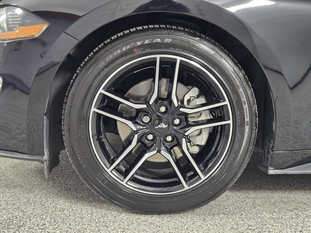 Used 2023 Ford Mustang Premium w/ Equipment Group 201A RWD image 13