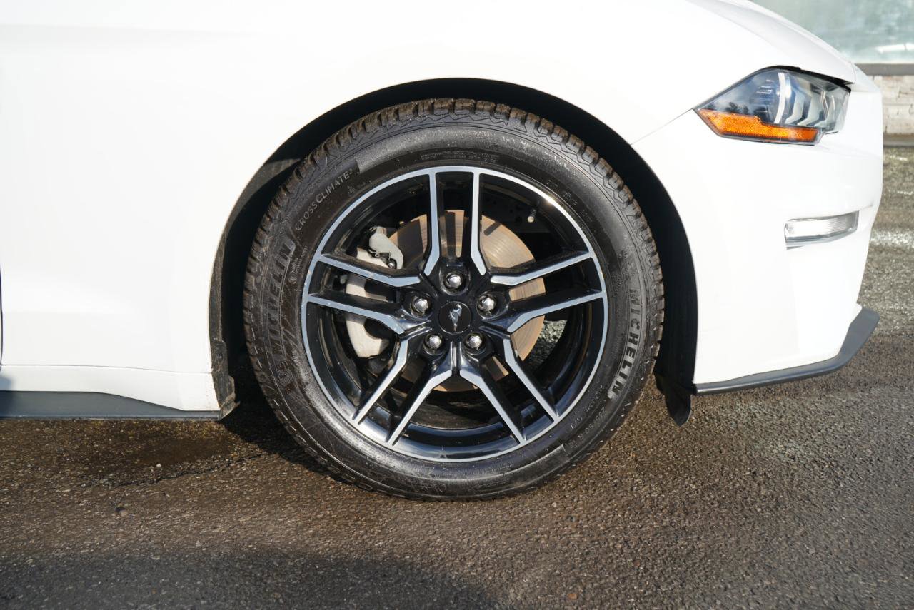 Used 2021 Ford Mustang Premium image 83