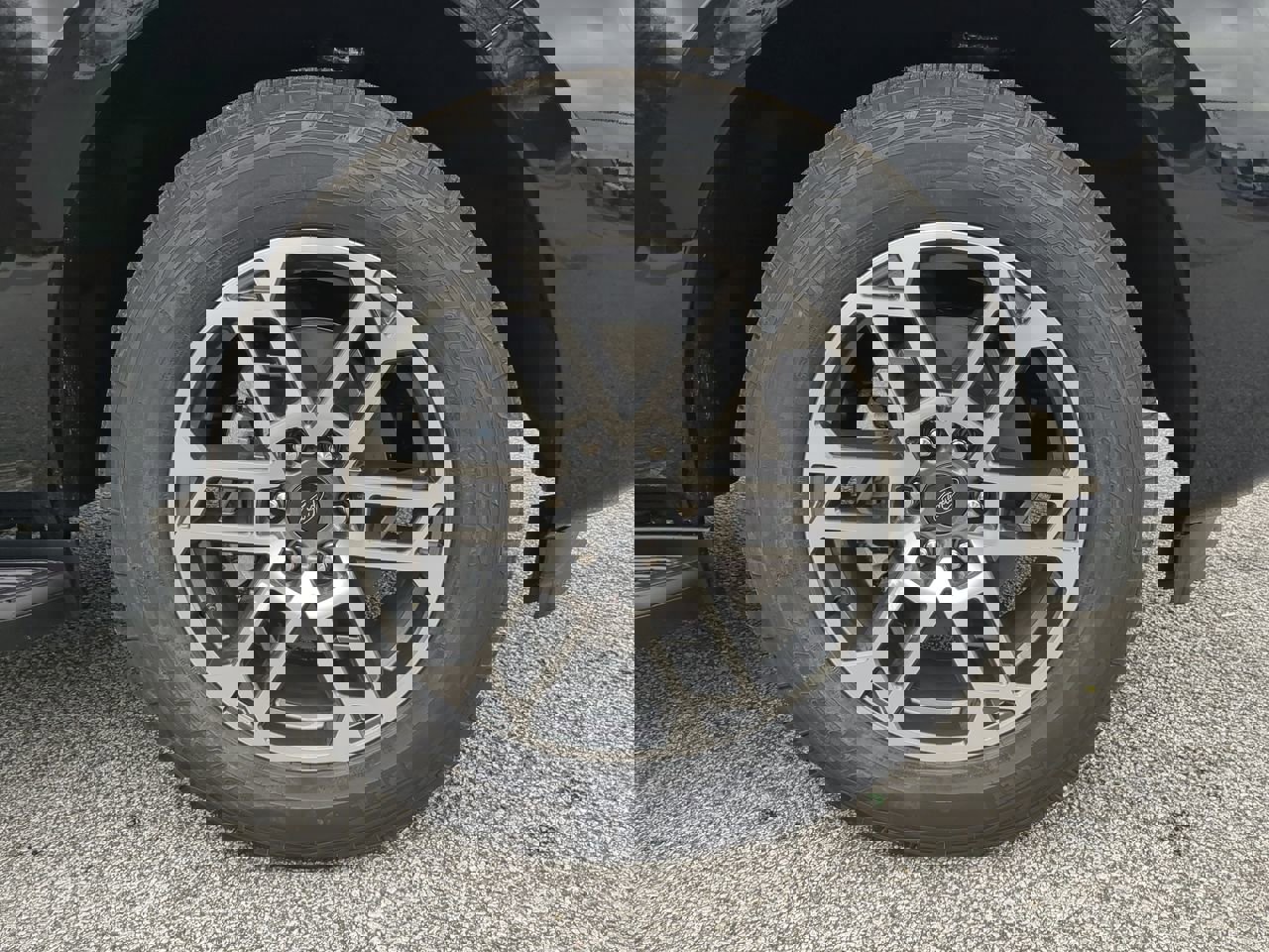 New 2026 Ford Expedition Active image 11