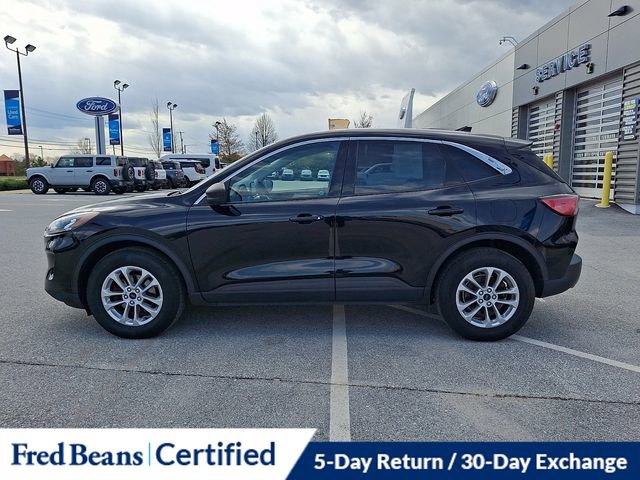 Certified 2022 Ford Escape SE w/ Cold Weather Package AWD/4WD image 7